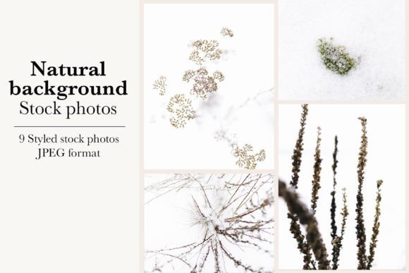 Embrace the Chill: Elevate Your Brand with Winter Backgrounds
